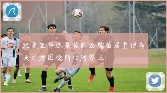 托莫里评选最佳队友魔笛居首伊布次之赖因德斯位列第三