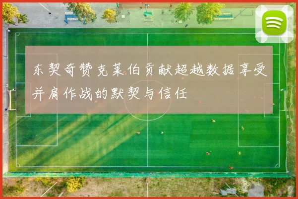 东契奇赞克莱伯贡献超越数据享受并肩作战的默契与信任