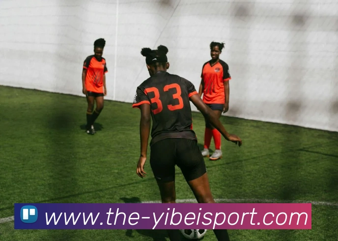 易倍体育平台生态图