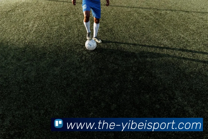 易倍体育APP 封面图